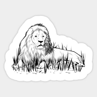 African Lion Sticker